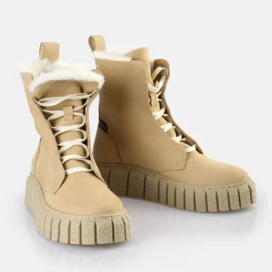 Women BUFFALO Ankle Boots^Rampa Lace Up Hi Warm Ankle Boot