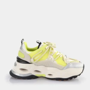 Women BUFFALO Vegan Shoes^Triplet Lace Sneakers Low Vegan